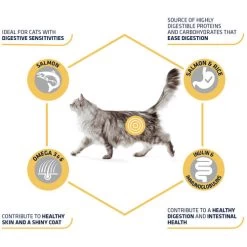 Affinity Advance Adult Salmon Sensitive - Katze 12 Affinity Advance Adult Salmon Sensitive - Katze -Heimtierbedarf Verkauf affinity advance adult salmon sensitive kat 178666 0500 none