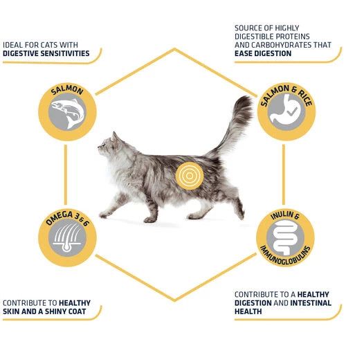 Affinity Advance Adult Salmon Sensitive - Katze 7 Affinity Advance Adult Salmon Sensitive - Katze – Bild 5