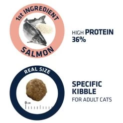 Affinity Advance Adult Salmon Sensitive - Katze 10 Affinity Advance Adult Salmon Sensitive - Katze -Heimtierbedarf Verkauf affinity advance adult salmon sensitive kat 178669 0500 none