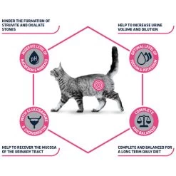 Affinity Advance Veterinary Diets Urinary Katze -Heimtierbedarf Verkauf affinity advance veterinary diets urinary kat 176905 0500 none