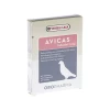 Avicas 1 Avicas -Heimtierbedarf Verkauf avicas 216756 0500 none