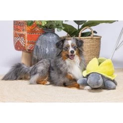 Beeztees Hide And Seek Schildo 8 Beeztees Hide And Seek Schildo -Heimtierbedarf Verkauf beeztees hide and seek schildo 221787 0500 none