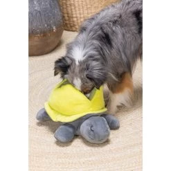 Beeztees Hide And Seek Schildo 9 Beeztees Hide And Seek Schildo -Heimtierbedarf Verkauf beeztees hide and seek schildo 221788 0500 none