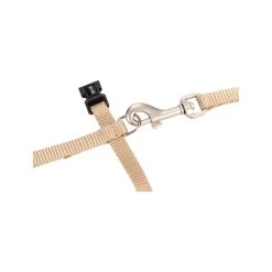 Beeztees Nylon Katzengeschirr Uni - Beige -Heimtierbedarf Verkauf beeztees nylon kattentuig uni beige 186637 0500 none