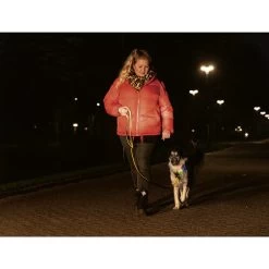 Beeztees Safety Gear Parinca Premium Halsband -Heimtierbedarf Verkauf beeztees safety gear parinca premium halsband 215009 0500 none