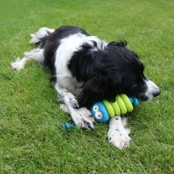 Coockoo Larry -Heimtierbedarf Verkauf coockoo larry 216712 0500 none