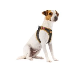 Curli Vegan Apple Leather Geschirr -Heimtierbedarf Verkauf curli harnas vegan appelleer 216631 0500 none