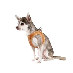 Heimtierbedarf Verkauf -Heimtierbedarf Verkauf curli harnas vegan appelleer 216633 0500 none