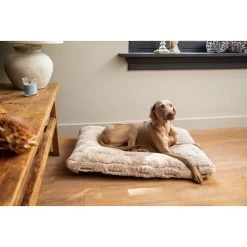 Designed By Lotte Xanti Hundekissen 8 Designed By Lotte Xanti Hundekissen -Heimtierbedarf Verkauf designed by lotte xanti hondenkussen 188127 0500 none