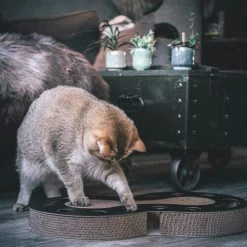 District 70 Snake -Heimtierbedarf Verkauf district 70 snake kattenspeelgoed 190421 0500 none