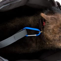 Doctor Bark Hundetragetasche -Heimtierbedarf Verkauf doctor bark honden draagtas 202157 0500 none