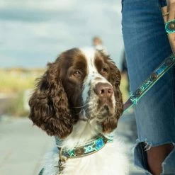 DWAM Halsband Boho Juan -Heimtierbedarf Verkauf dwam halsband boho juan 133658 0500 none