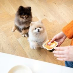 Edgard & Cooper Adult - Huhn & Truthahn - Im Schälchen -Heimtierbedarf Verkauf edgard cooper adult kip kalkoen kuipje 168597 0500 none