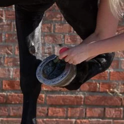 Equi Protecta Blue Wonder Gel -Heimtierbedarf Verkauf equi protecta blue wonder gel 161240 0500 none