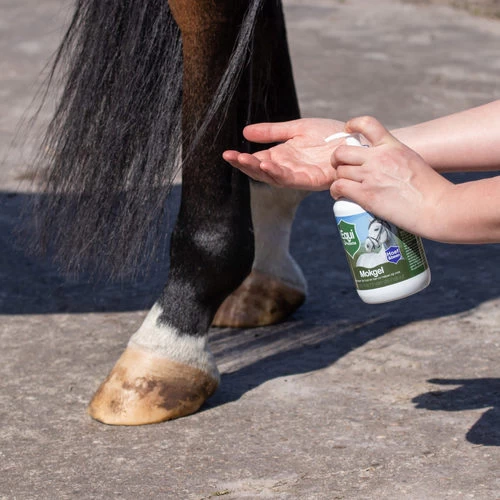 Equi Protecta Mallanders Gel 4 Equi Protecta Mallanders Gel – Bild 2