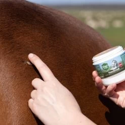 Equi Protecta Pferdesalbe -Heimtierbedarf Verkauf equi protecta paardenzalf 161327 0500 none