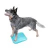 FitPAWS Balance Ramp -Heimtierbedarf Verkauf fitpaws balance ramp 176140 0500 none
