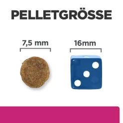 Hill's Prescription Diet Gastrointestinal Biome - Canine - Mini -Heimtierbedarf Verkauf hills prescription diet gastrointestinal biome canine mini 211880 0500 none