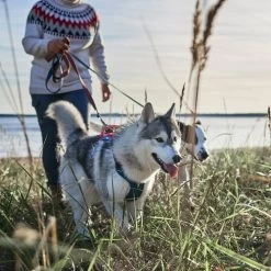 Hurtta - Geschirr Weekend Warrior Winter - Bilberry -Heimtierbedarf Verkauf hurtta weekend warrior winter harnas bilberry 216605 0500 none