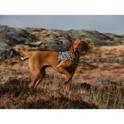 Hurtta Go Geschirr Storm Grey 9 Hurtta Go Geschirr Storm Grey -Heimtierbedarf Verkauf hurtta go harness storm grey 201305 0500 none