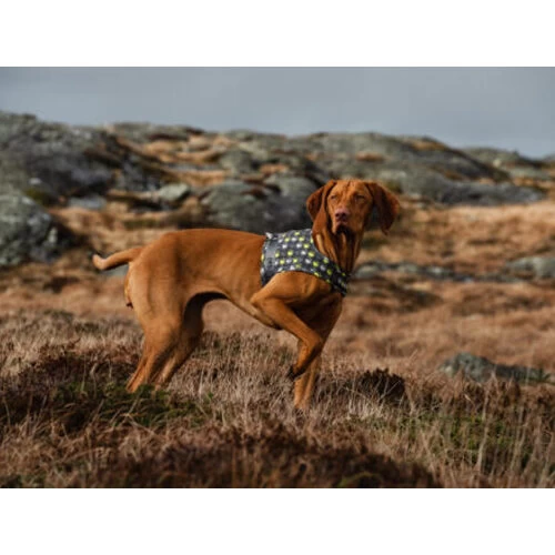 Hurtta Go Geschirr Storm Grey 6 Hurtta Go Geschirr Storm Grey – Bild 4