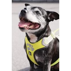 Hurtta Weekend Warrior Geschirr -Heimtierbedarf Verkauf hurtta weekend warrior harness 189093 0500 none