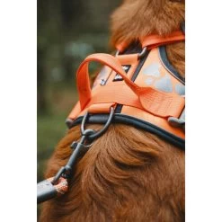 Hurtta Weekend Warrior Geschirr -Heimtierbedarf Verkauf hurtta weekend warrior harness 189096 0500 none