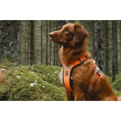 Hurtta Weekend Warrior Geschirr -Heimtierbedarf Verkauf hurtta weekend warrior harness 189108 0500 none