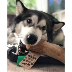 I&I Pet Supplies Kaffeebaum Kauwurzel -Heimtierbedarf Verkauf ii pet supplies koffieboom kauw wortel 129623 0500 none