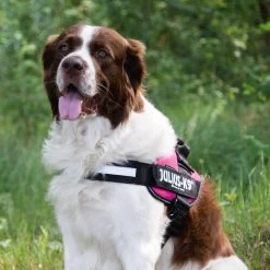 Julius K9 IDC Powergeschirr 18 Julius K9 IDC Powergeschirr -Heimtierbedarf Verkauf julius k9 idc powertuig 192695 0500 none