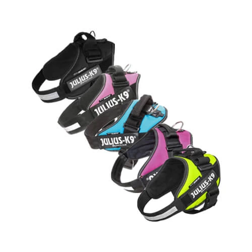 Julius K9 IDC Powergeschirr 3 Julius K9 IDC Powergeschirr