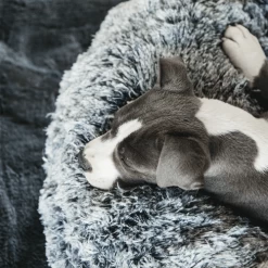 Kentucky Dogwear - Comfort Donut-Hundekorb -Heimtierbedarf Verkauf kentucky dogwear comfort donut hondenmand 219723 0500 none