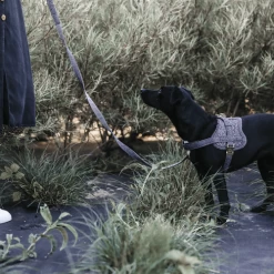 Kentucky Dogwear Hundegeschirr Body Safe Wool -Heimtierbedarf Verkauf kentucky dogwear hondenharnas body safe wool 219214 0500 none