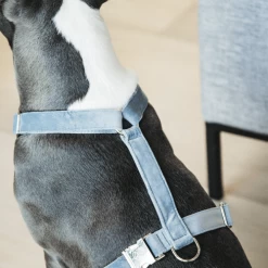 Kentucky Dogwear Hundegeschirr Velvet Loop -Heimtierbedarf Verkauf kentucky dogwear hondenharnas velvet loop 219286 0500 none