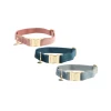 Kentucky Dogwear Velvet Hundehalsband 1 Kentucky Dogwear Velvet Hundehalsband -Heimtierbedarf Verkauf kentucky dogwear velvet hondenhalsband 219233 0500 none