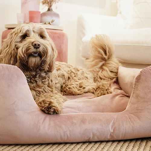 Kentucky Dogwear Velvet Hundekorb 4 Kentucky Dogwear Velvet Hundekorb – Bild 2