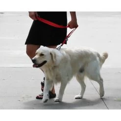 KONG Adjustable Leash -Heimtierbedarf Verkauf kong adjustable leash zwart 176941 0500 none