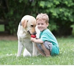 KONG Classic -Heimtierbedarf Verkauf kong classic 98642 0500 none