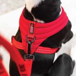 KONG Comfort Harness -Heimtierbedarf Verkauf kong comfort harness zwart 178774 0500 none