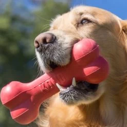 KONG Goodie Bone -Heimtierbedarf Verkauf kong goodie bone 194186 0500 none