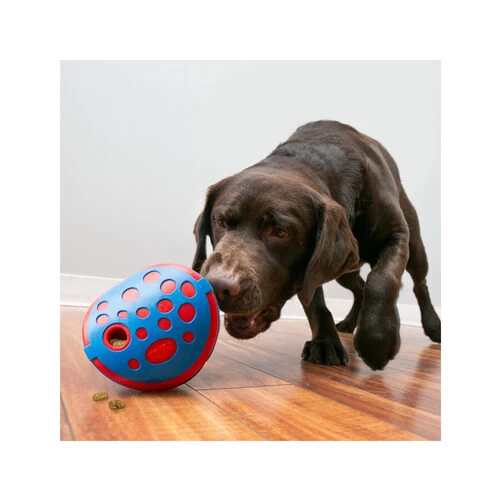 Kong Rewards Wally 4 Kong Rewards Wally – Bild 2