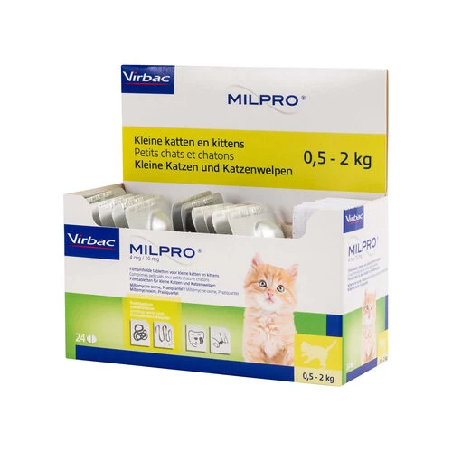 Milpro Katze 6 Milpro Katze – Bild 4