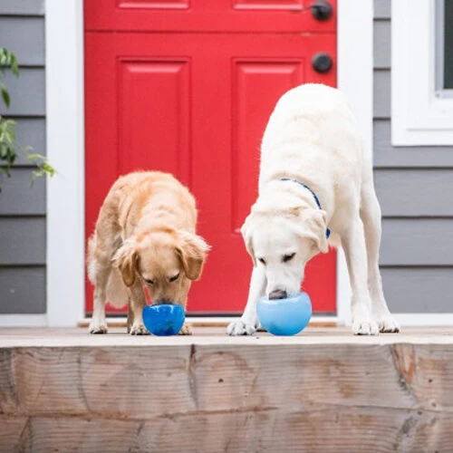 Planet Dog Orbee-Tuff Lil’ Snoop Toy 12 Planet Dog Orbee-Tuff Lil’ Snoop Toy – Bild 10