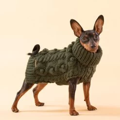 PAIKKA Handmade Knit Sweater -Heimtierbedarf Verkauf paikka handmade knit sweater green 217735 0500 none