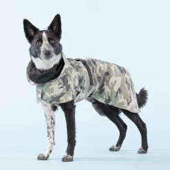 PAIKKA Recovery Raincoat Camo -Heimtierbedarf Verkauf paikka recovery raincoat camo 217730 0500 none
