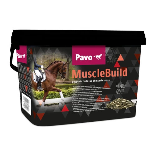 Pavo MuscleBuild 3 Pavo MuscleBuild