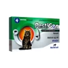 Pestigon Spot-On Für Katzen 2 Pestigon Spot-On Für Katzen -Heimtierbedarf Verkauf pestigon spot on voor katten 215960 0500 none