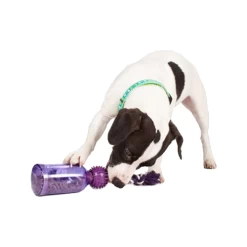 PetSafe Tug-a-Jug -Heimtierbedarf Verkauf petsafe tug a jug 216335 0500 none