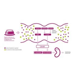 Porus One 7 Porus One -Heimtierbedarf Verkauf porus one 134455 0500 none