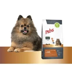 Prins Protection Croque Mini Lamb Hypoallergenic -Heimtierbedarf Verkauf prins protection croque mini lamb hypoallergenic 172102 0500 none